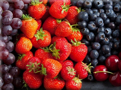 fruit